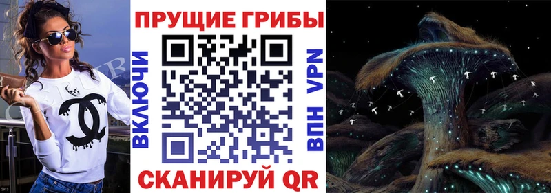 Псилоцибиновые грибы Psilocybe  ОМГ ОМГ   Разумное 